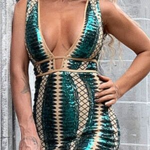 Miss Ord Size 3X Green Sequined Dress